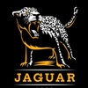 jaguer_25