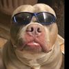 zeus_ca