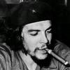 chess.guevara