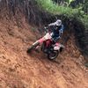 austin_bradley77