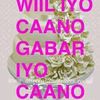 sharafeycali