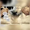 grand_master__yoda