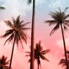 king_khaled515