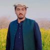 wahidkhan7268