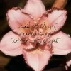 2006noor59