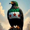 syrianfalcon82