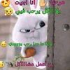 refaattarek462gmail.com1