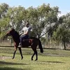 alefuente662