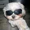 chicken_jull