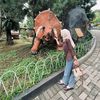 nurummi_2210