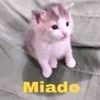 saturn_tears_uwu