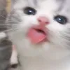 wannakms01