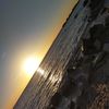abo_ysf_mry