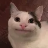 khangbakhiakkk01