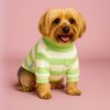 balu_pets2020