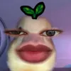 juancarlocostales