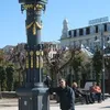 lpg_alf