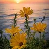 user3106904710136