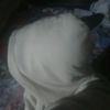 arfaarfa419
