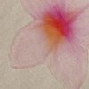 g0461b