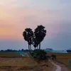duong130294