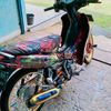 diamassaptra3