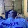 zanowew
