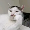 nhincaideogi1235