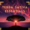 terrasativaessentials