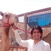 fazalfazal4466