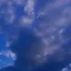 vika_vvzz_viiii___