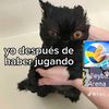 ratablancaxd