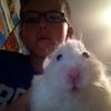 willmckibbon