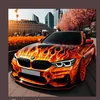 smail6204