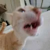 ngminhdanq08