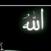 agussalim11490