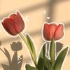 sumyanddate4