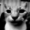 hello_oficcal