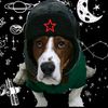 harleyxprogamer