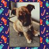 tobytri6700her