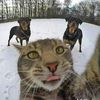 denis_940194