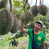 om_ganteng027
