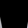 gul_barshin0