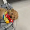 anpanthedog
