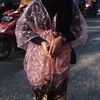 15_linarrmdhn