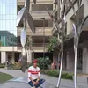 kaloysalabao