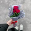 tasneem.gamag3
