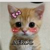 22_queen_afroz_