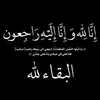 user61903499111902