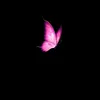 user4480727961412
